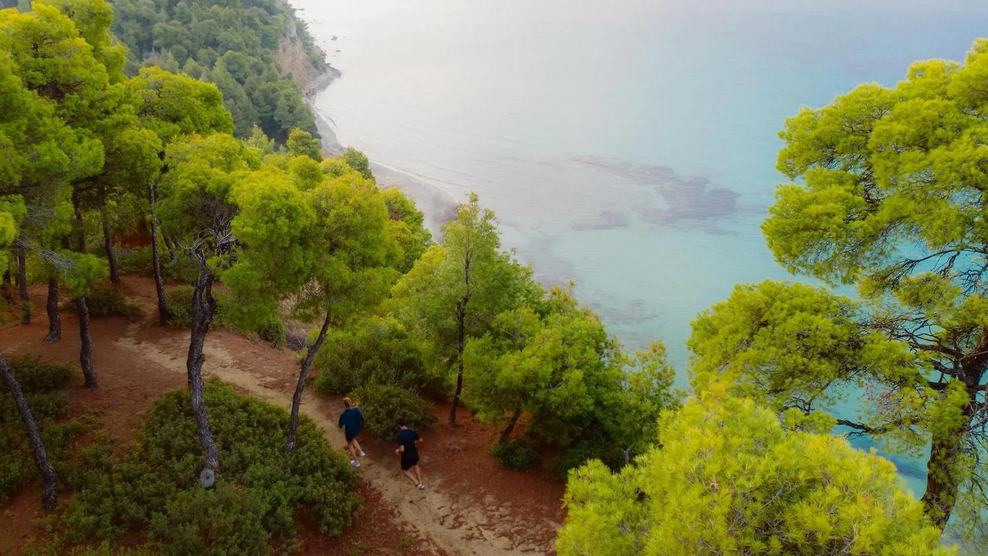 ホテル Sani Club Sani (Chalkidiki)