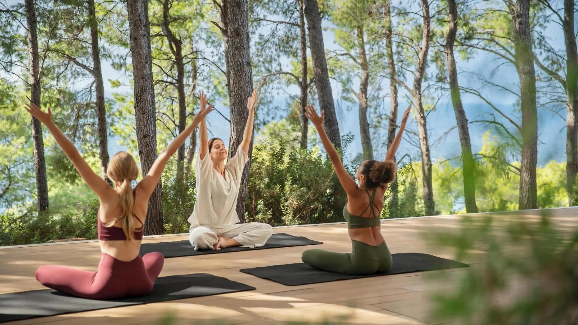 ホテル Sani Club Sani (Chalkidiki)